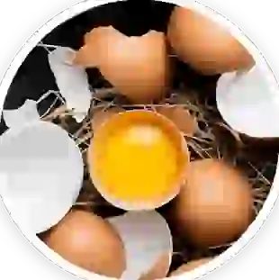 Palmitoylethanolamide